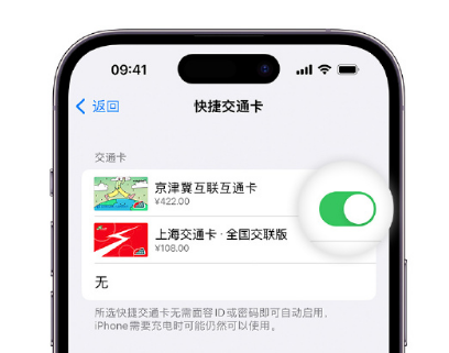 柯坪apple维修点分享iPhone上更换Apple Pay快捷交通卡手绘卡面 