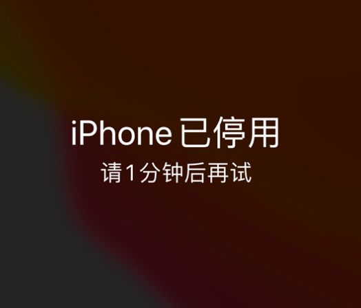 柯坪苹果手机维修分享:iPhone 显示“不可用”或“已停用”怎么办？还能保留数据吗？ 