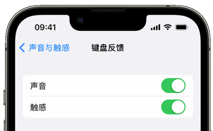 柯坪苹果手机维修分享iPhone 14触感键盘使用方法 