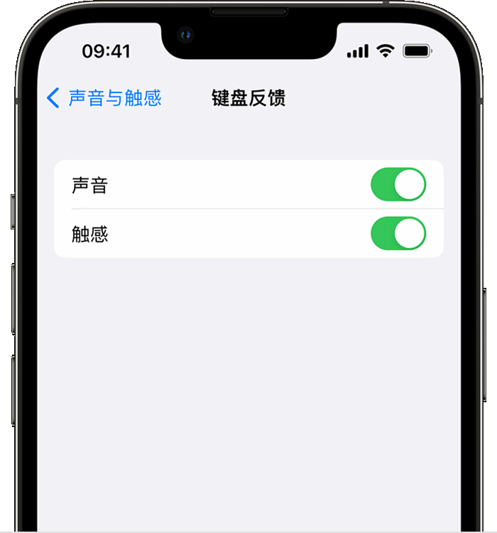 柯坪苹果14维修店分享如何在 iPhone 14 机型中使用触感键盘 