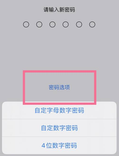 柯坪苹果14维修分享iPhone 14plus设置密码的方法 