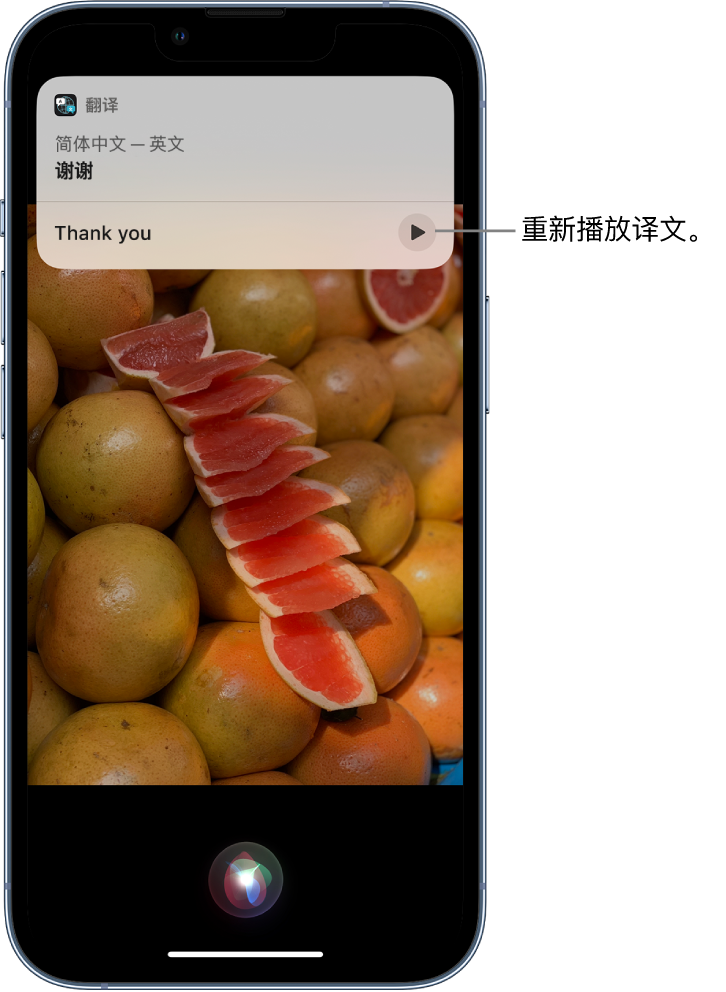 柯坪苹果14维修分享 iPhone 14 机型中使用 Siri：了解 Siri 能帮你做什么 