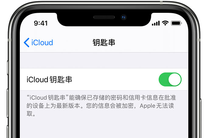 柯坪苹果手机维修分享在 iPhone 上开启 iCloud 钥匙串之后会储存哪些信息 